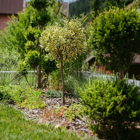 Oddih With Terrace And Private Sauna アパート *