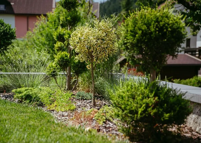 Oddih With Terrace And Private Sauna Lejlighed *